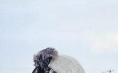 杜达雄2012天体图片